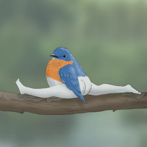 2024 CALENDAR OF EXTREMELY ACCURATE BIRDS